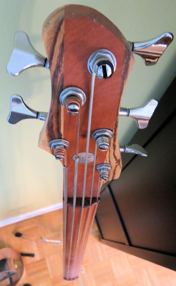 Ergo electric upright 5-string bass